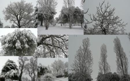 neve a recanati feb 20121